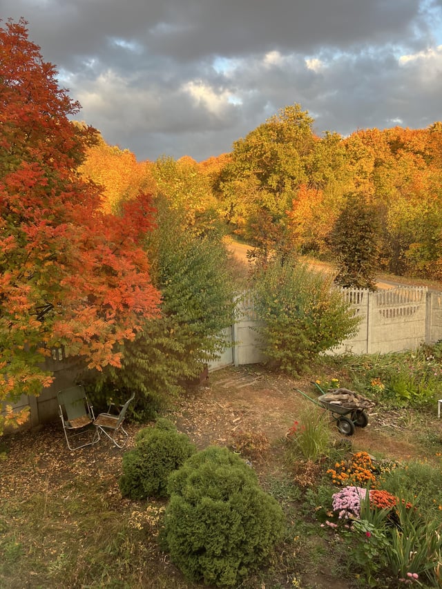 This Fall is so pretty! – Reddit Post