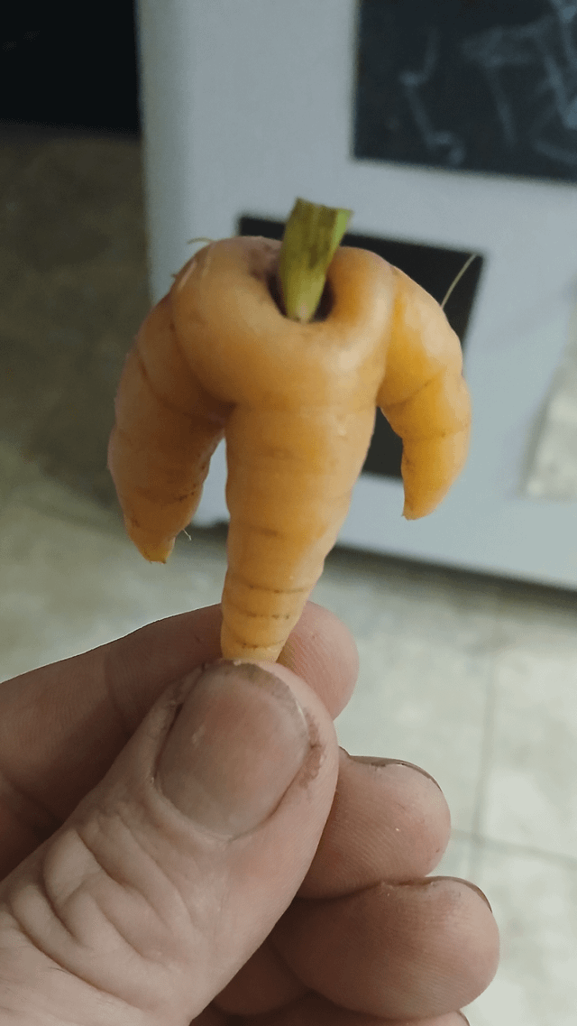 Tiny Buff Carrot – Reddit Post