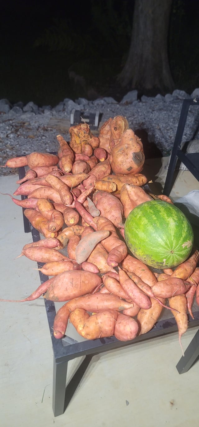 Ya like sweet potatos? – Reddit Post