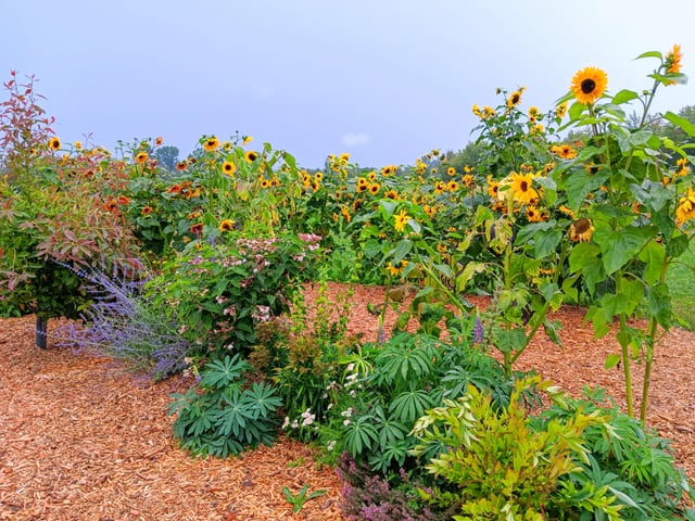 A nice garden area near us. This is just part of the gardens their. – Reddit Post