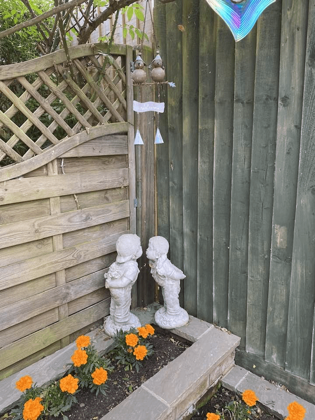The corner of my yard. – Reddit Post
