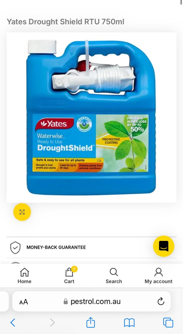 Heat protectant?