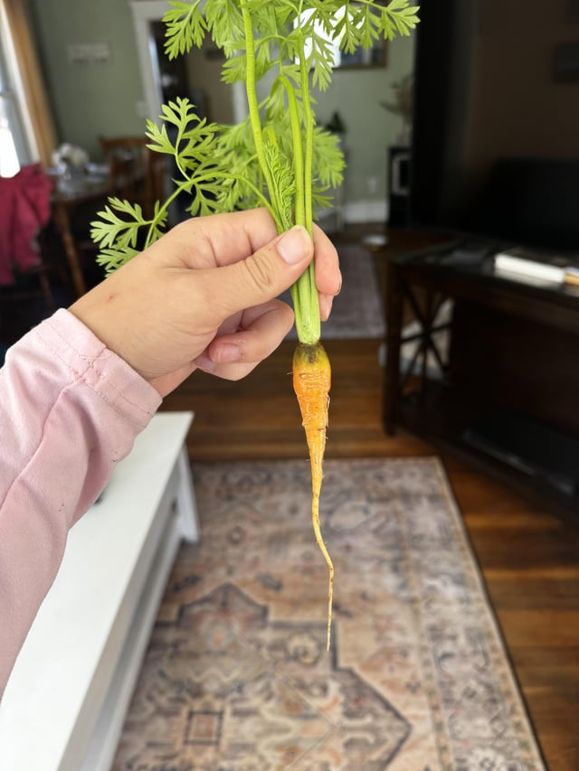 First carrot ever – Reddit Post