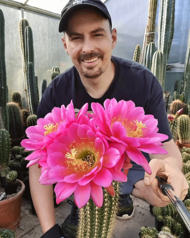 Cactus of the Day – Reddit Post