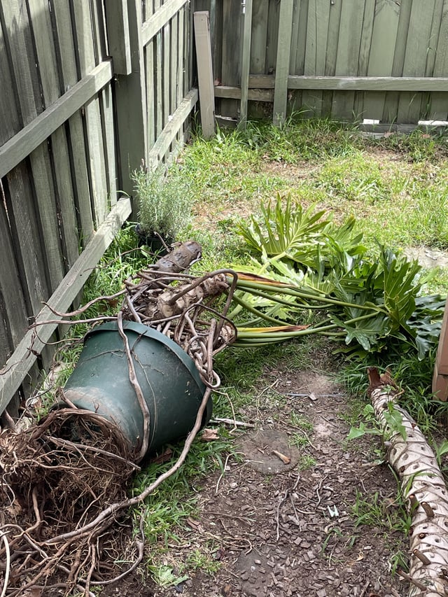 How would you even begin to untangle this mess? – Reddit Post
