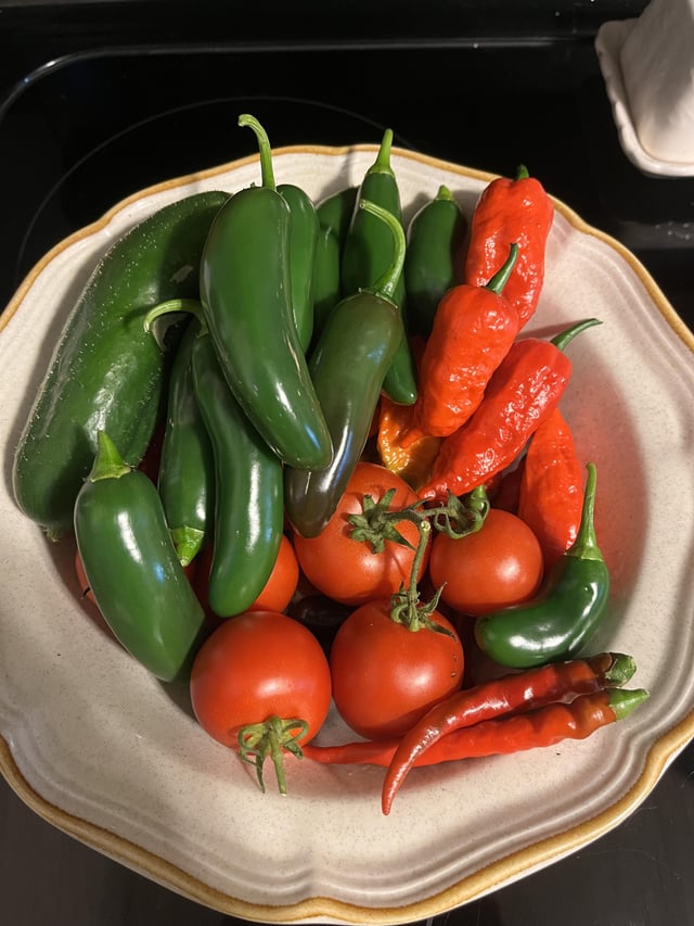 Last Harvest – Reddit Post