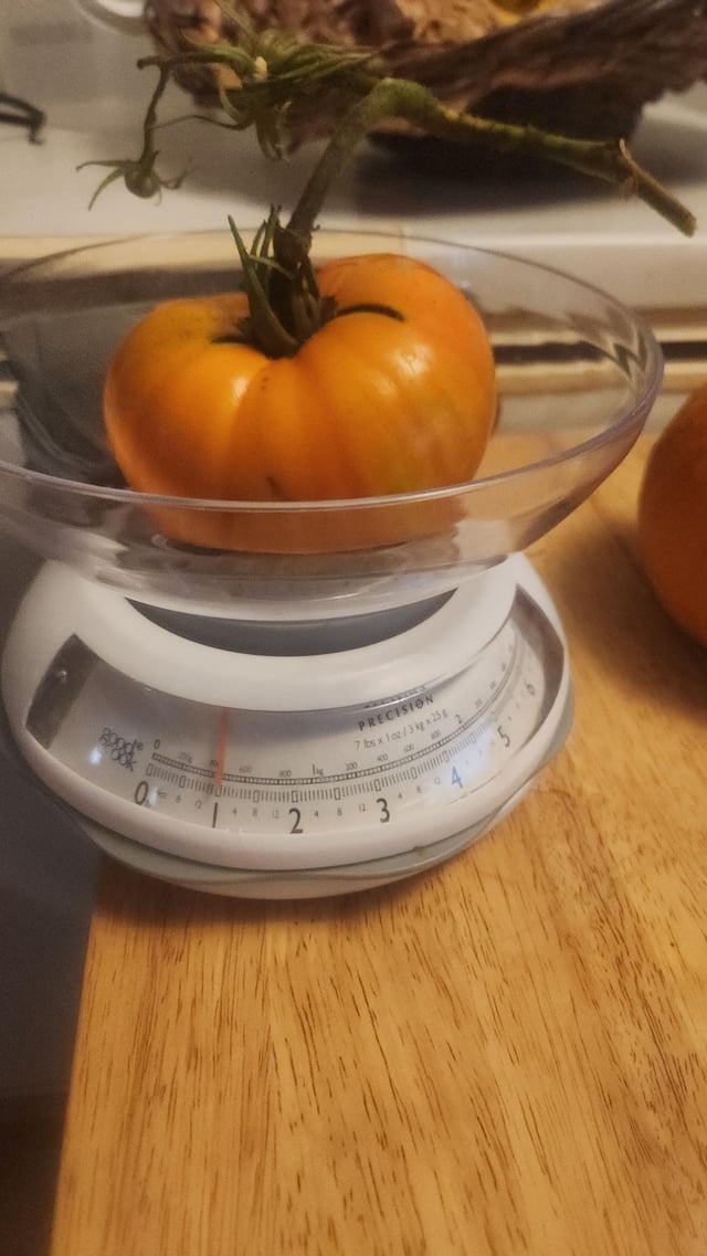 1lb tomato 🥹 – Reddit Post