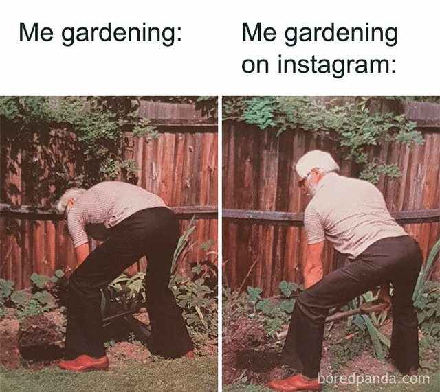 Can relate – Reddit Post