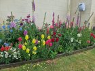 One of my front garden beds 🌸🌹