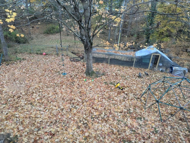 Too many leaves for “leave the leaves”? – Reddit Post