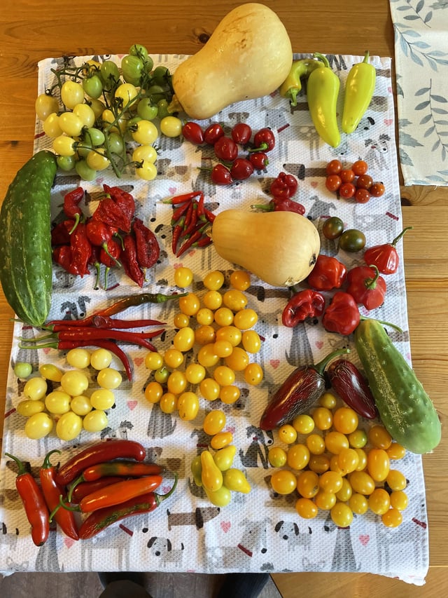 Ready for chili – Reddit Post