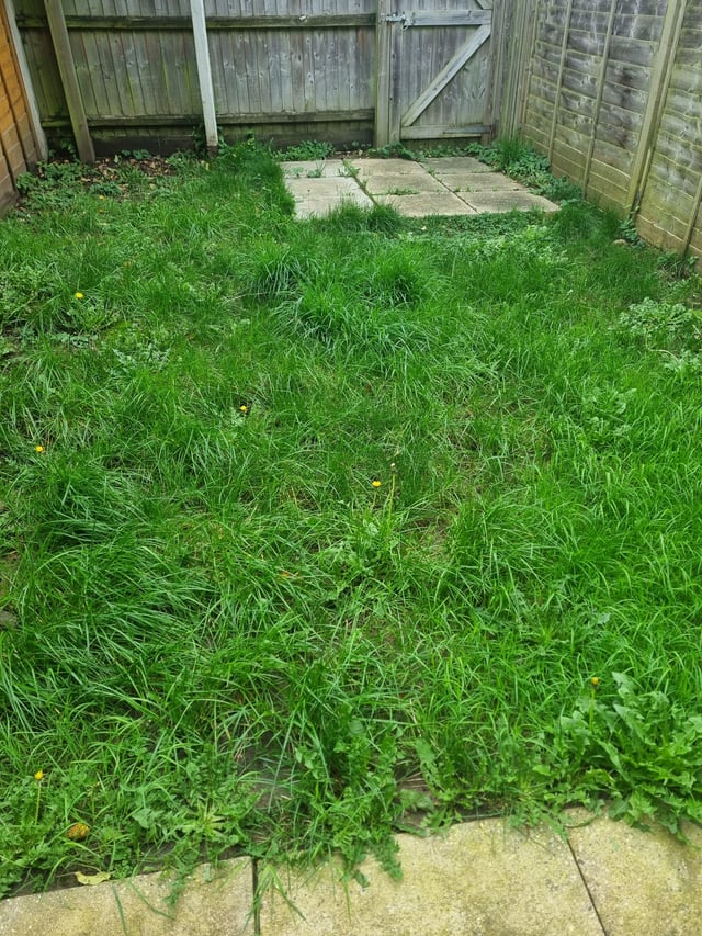 Advice needed
