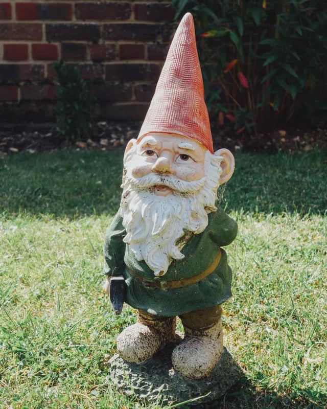 How many of you have gnomes in your gardens?