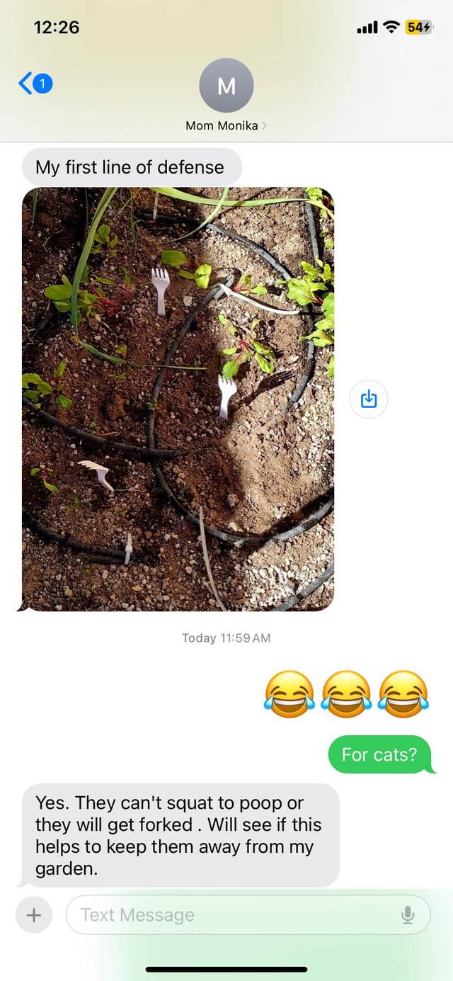 I love my MIL! Thought y’all would get a kick out of this too lol – Reddit Post