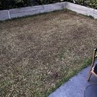 Lawn help