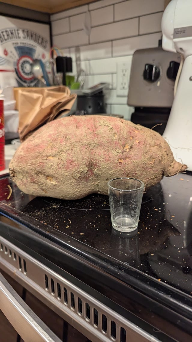 Shot glass for scale. – Reddit Post