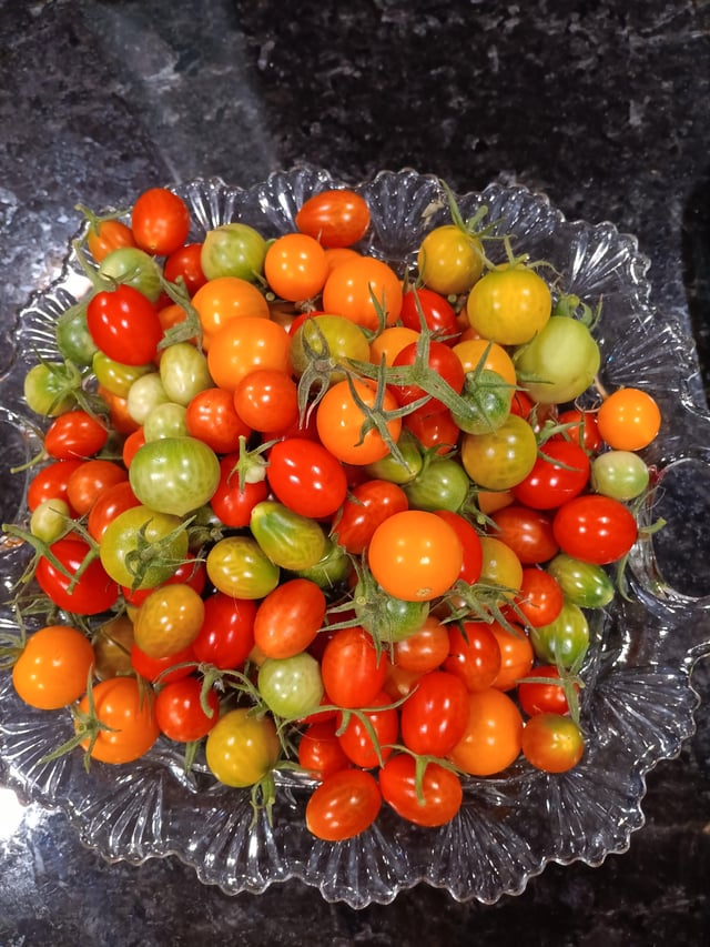 Our last little harvest of the year – Reddit Post