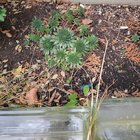 What are these?