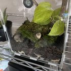 little terrarium gardens ive been working on in my dorm :) – Reddit Post