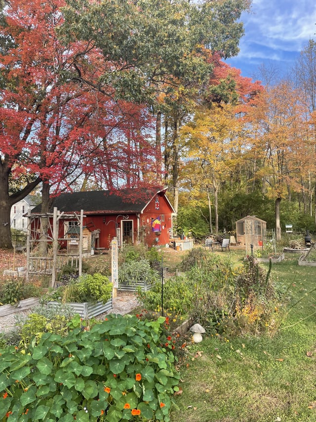 Fall – Reddit Post
