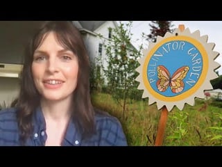 Woman Gets Local Backlash, Taken to Court For Natural Garden – Inside Edition – Reddit Post