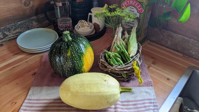First Harvest in the Tiny Home/Tiny Garden – Reddit Post
