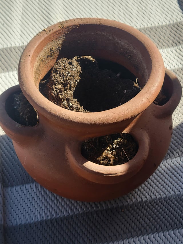 Pot – Reddit Post