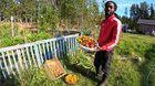 Backyard garden harvest. – Reddit Post