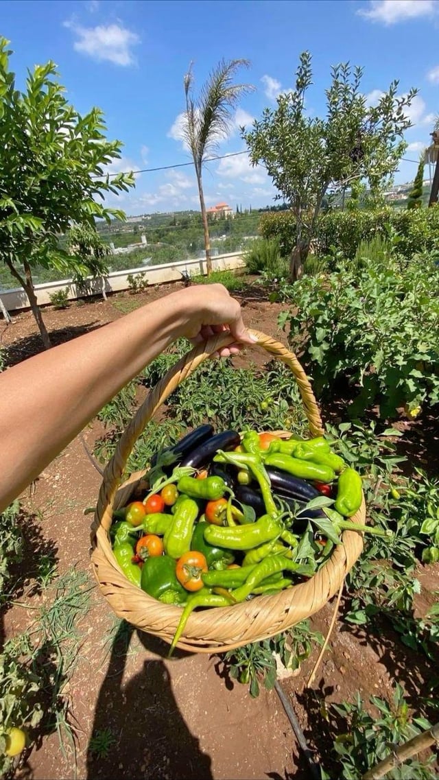 Gardening ✨ – Reddit Post