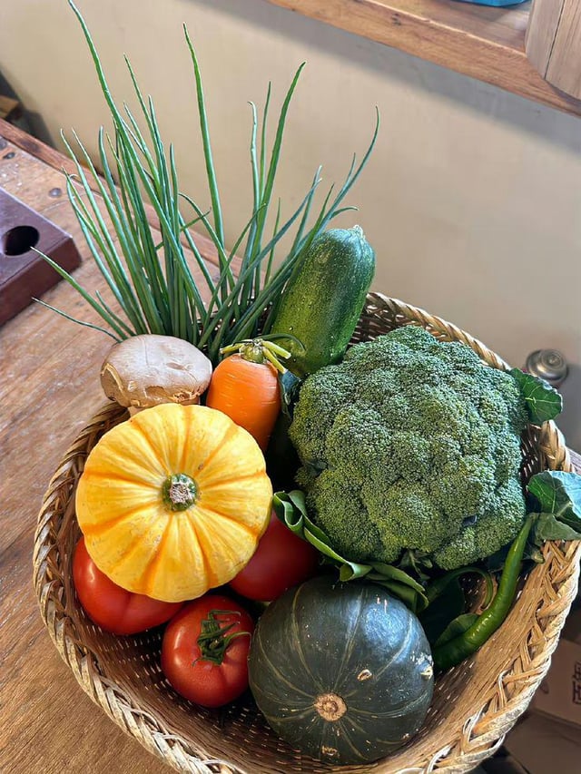 My today’s harvest from my yard… – Reddit Post