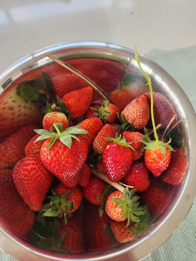 My strawberries – Reddit Post