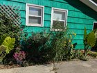 My fall garden is really keeping me going lately – Reddit Post