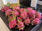 Dragon harvest.. – Reddit Post