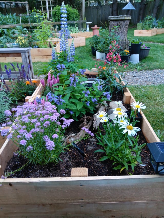 Some of our flowers this year early spring – Reddit Post