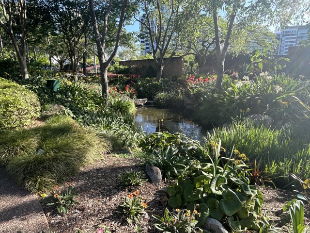 Roma st garden Brisbane, on point – Reddit Post