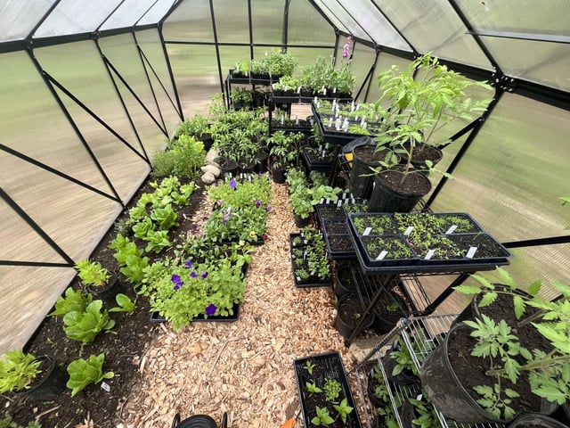 Winter Greenhouse – Reddit Post