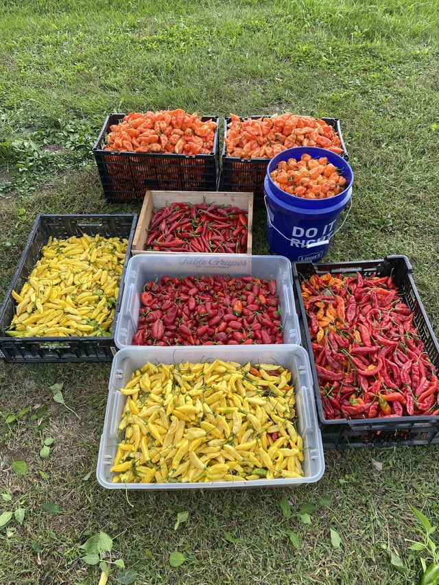 Next stop: Hot Sauce City! – Reddit Post