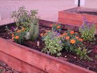 1 month garden update! – Reddit Post