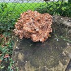 What is this?