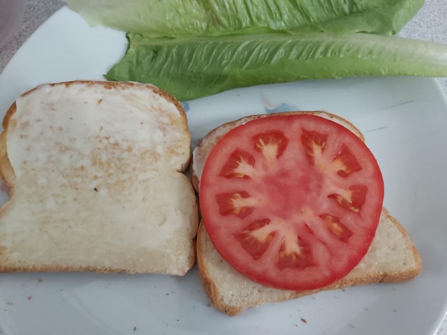 Tomato from my balcony garden – Reddit Post