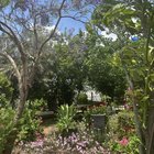 My garden this year – Reddit Post