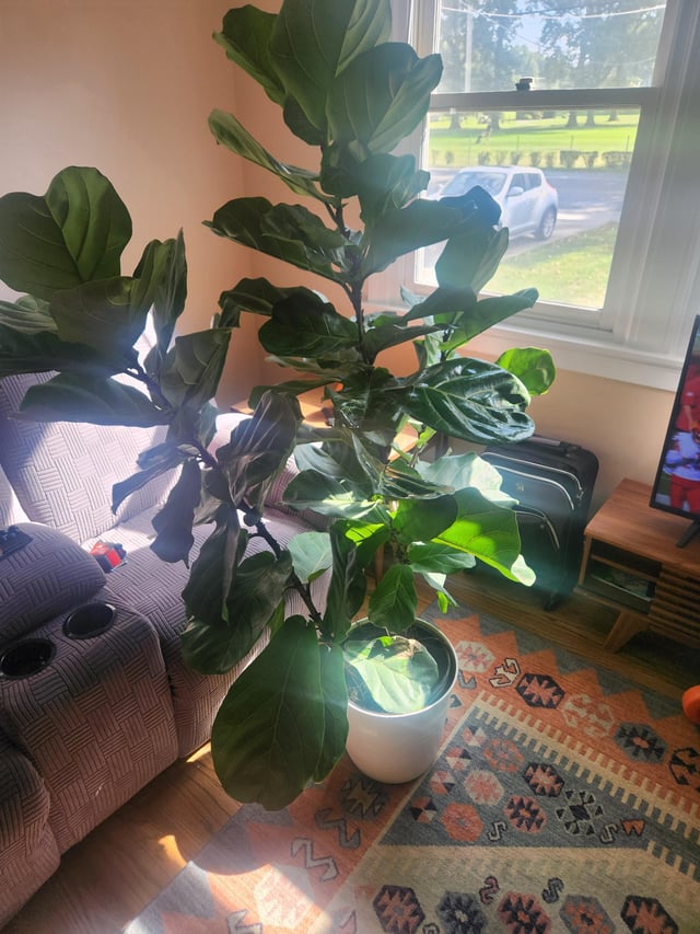Am I insane or is this a good deal?! – Reddit Post