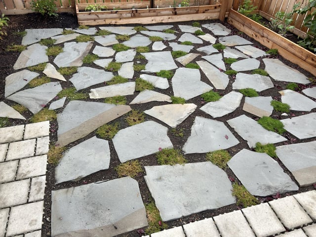 Irish mosses are inconsistent – Reddit Post
