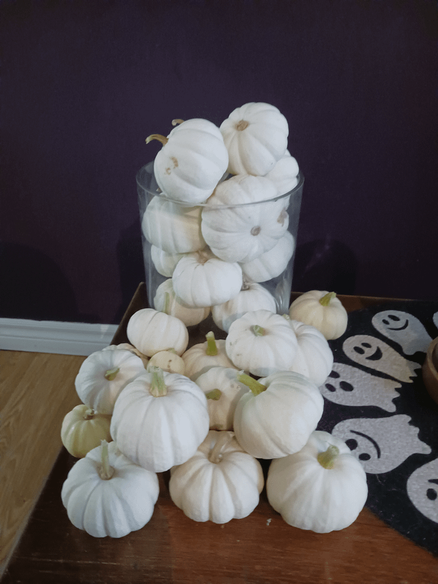 Our Baby Boo Harvest – Reddit Post