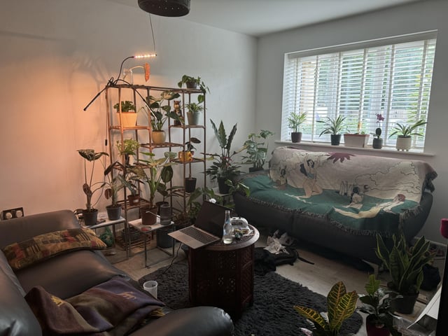 Enough light? – Reddit Post