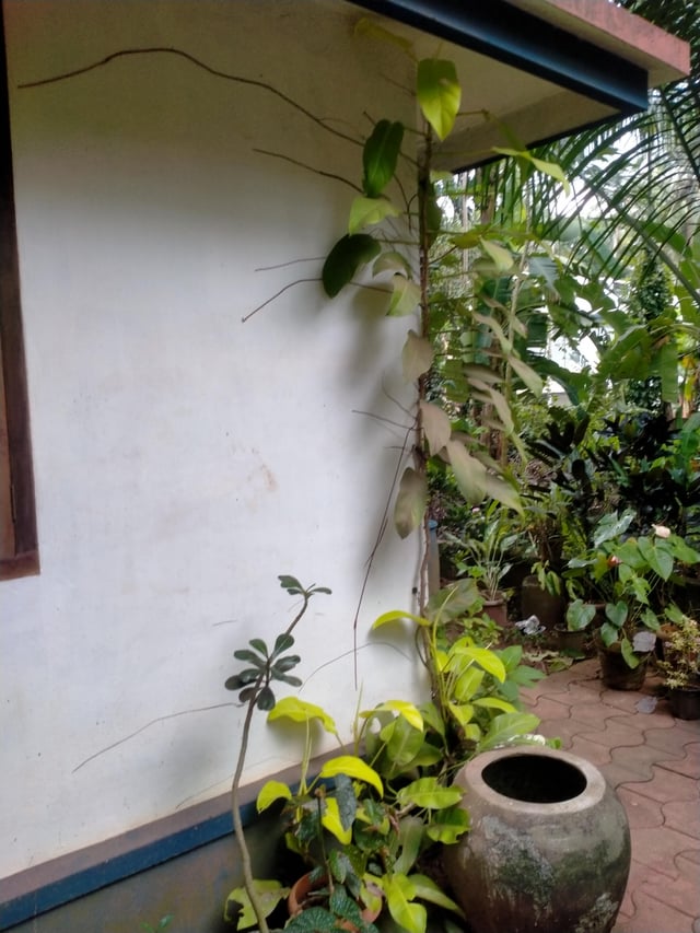 Someone’s Growing Bigg – Reddit Post