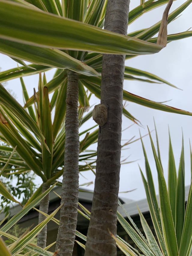 Help to ID this