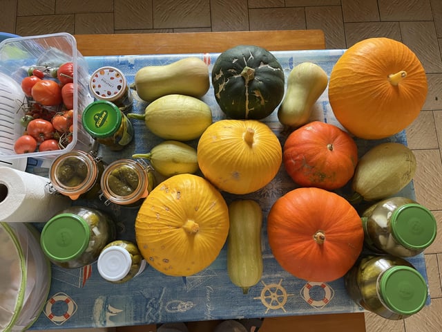 first year planting, could be better but we’re happy! – Reddit Post