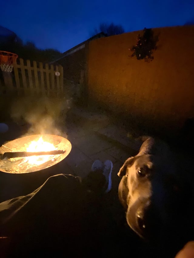 Not quite gardening, but certainly garden enjoyment. I picked up this fire pit for £20 and it’s the best thing I bought for the garden this November!