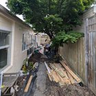 Tree identification & root plan
